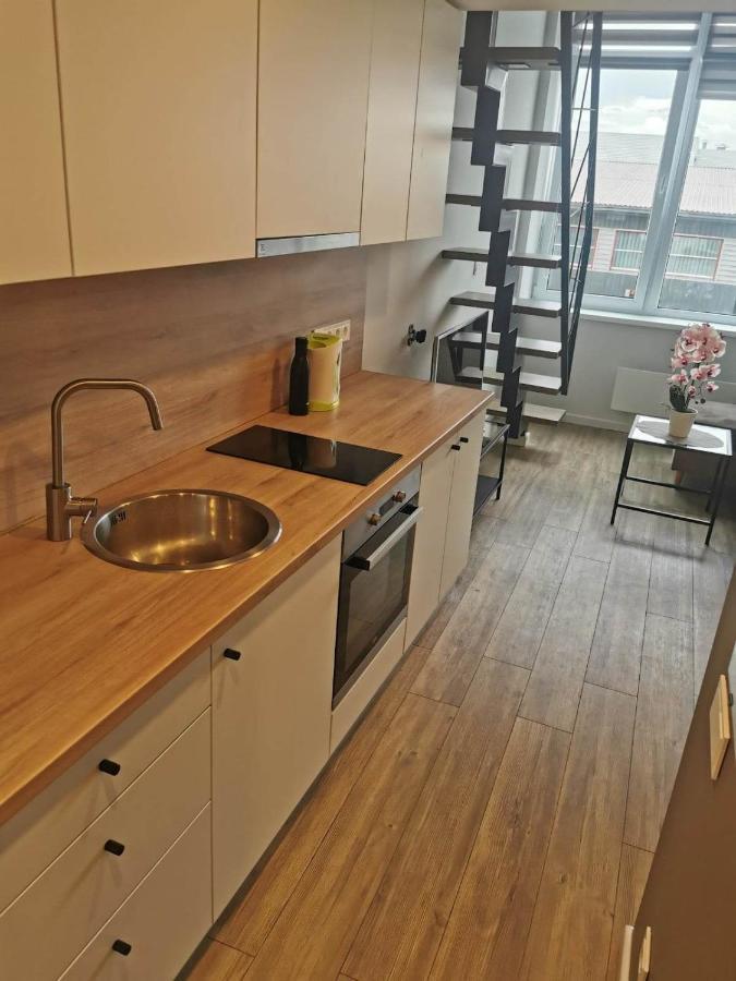 Lofto Tipo 2 Kambariu Butas Apartman Kaunas Kültér fotó
