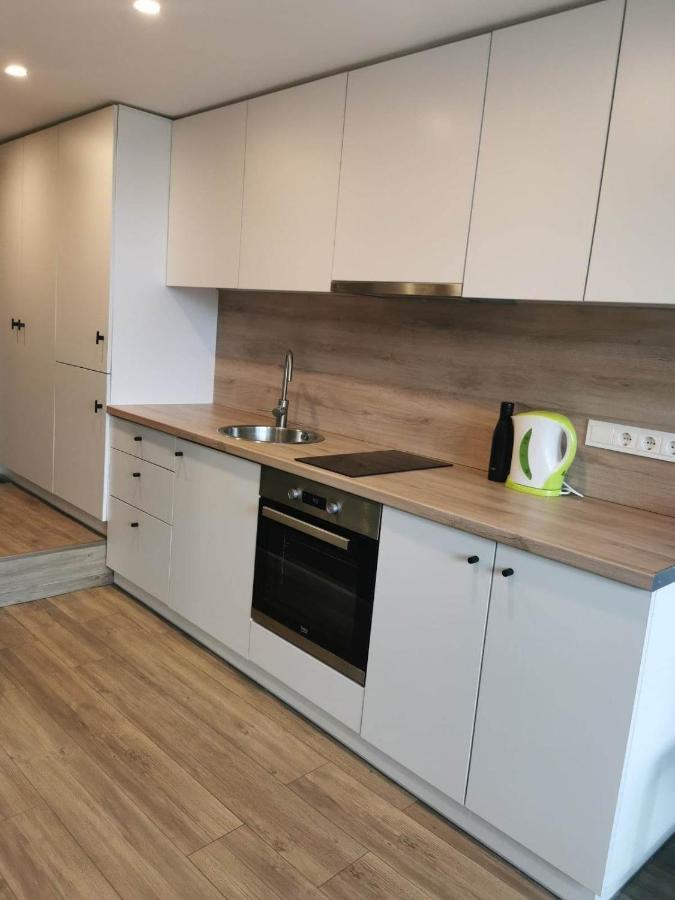 Lofto Tipo 2 Kambariu Butas Apartman Kaunas Kültér fotó